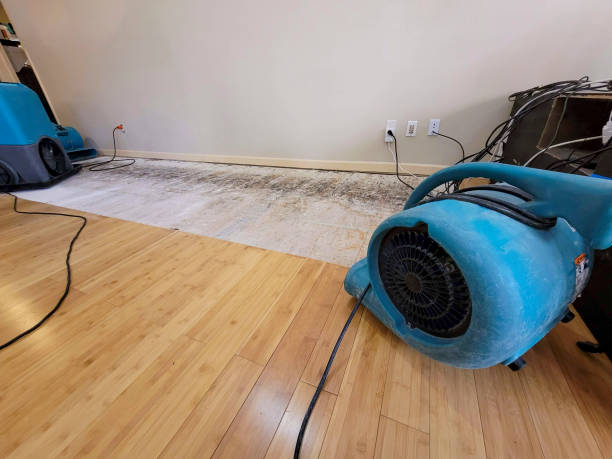 Professional Flood Damage Cleanup technician working in Ogden, NC